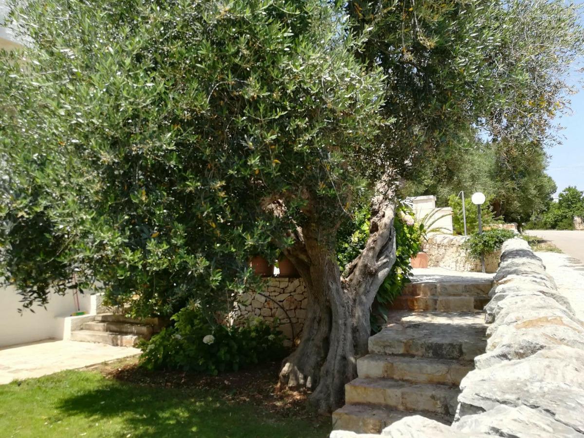 Residenza Aurora Aparthotel Ostuni Exterior photo